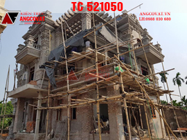 Cập nhật quá trình thi công lâu đài dinh thự 3 tầng kiểu Pháp tại Hưng Yên TC521050